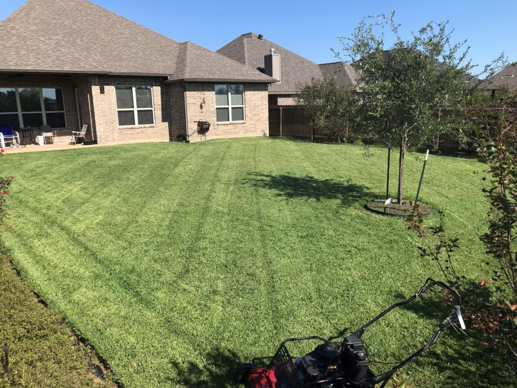 Featured image for “5 Lawn Mowing Tips For Keeping Your Lawn Looking Its Best”