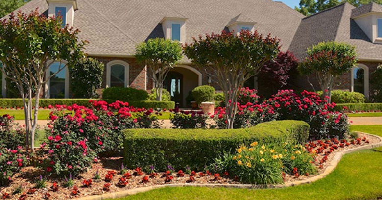 Landscape Design In College Station, How To Landscape Yard Without Grass In Texas Usa