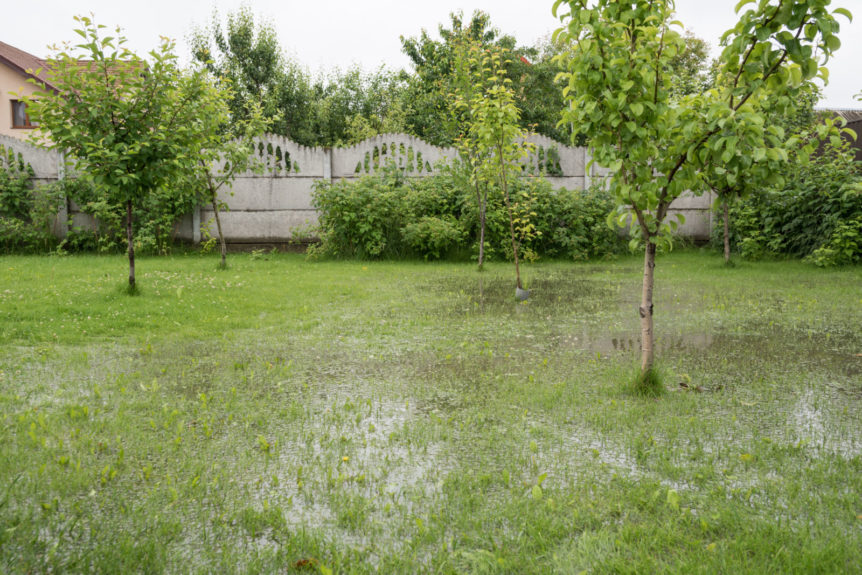 Flooded yard and garden