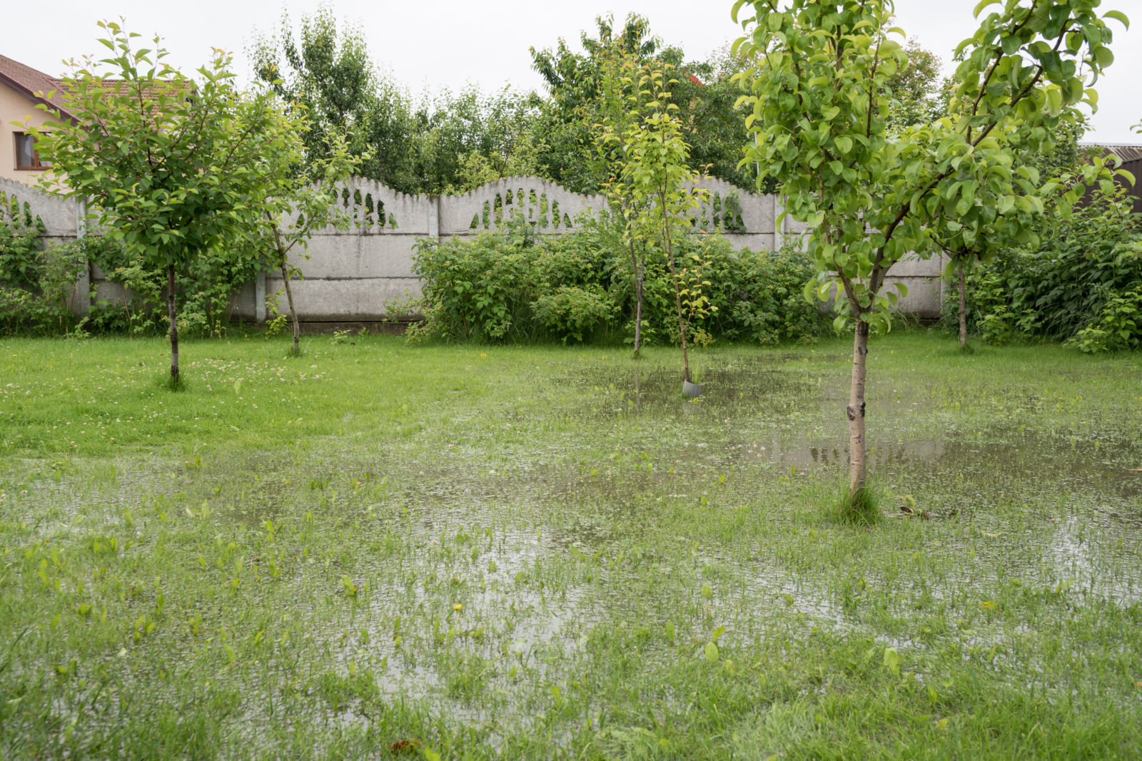 Featured image for “Benefits of French Drains/Risks of Standing Water”