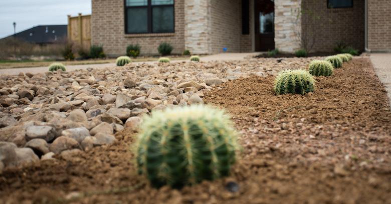 Featured image for “Xeriscape Landscaping – Reducing Water Usage in Texas!”