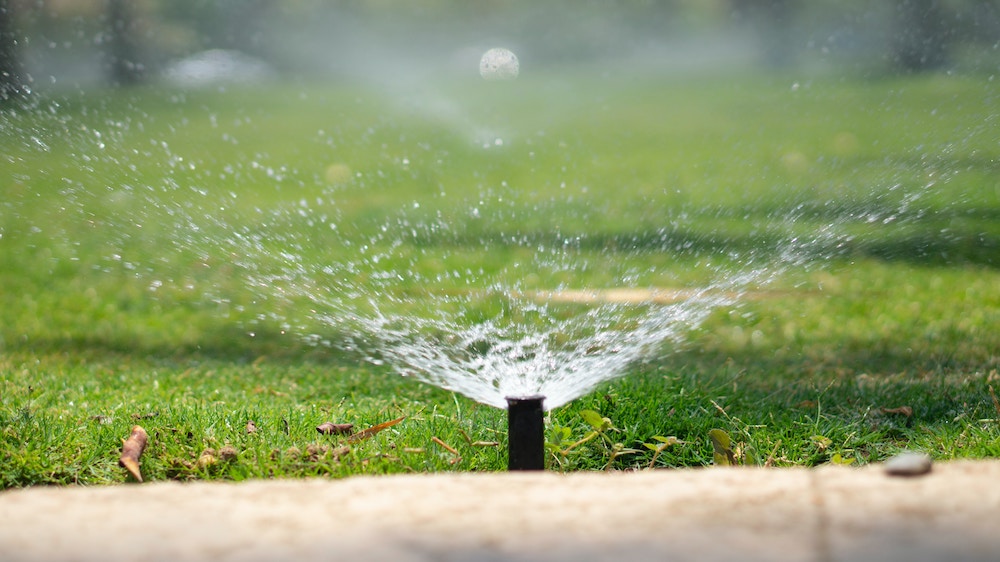 Featured image for “Irrigation”