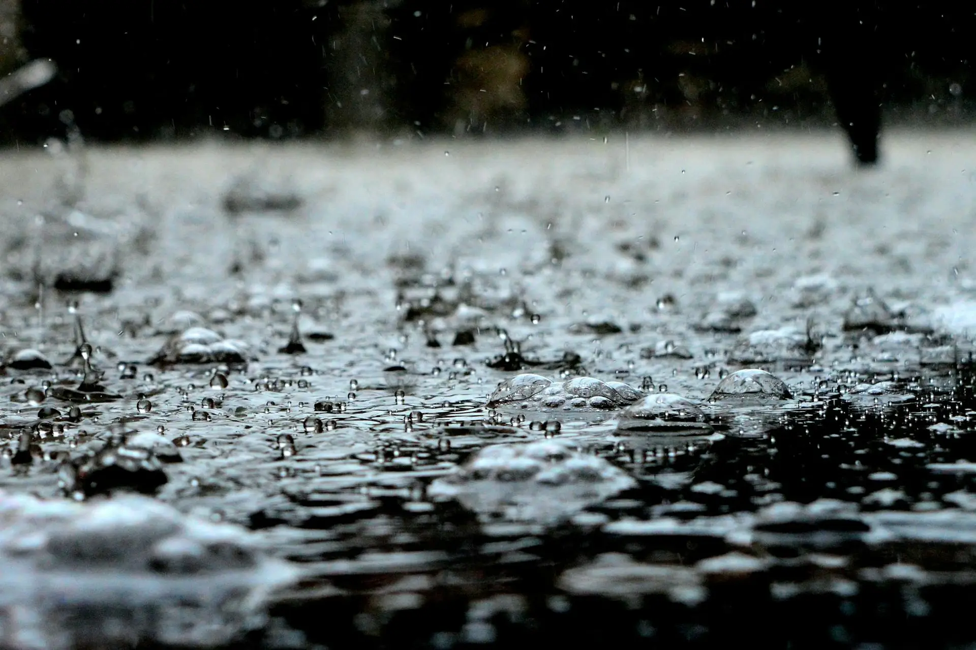 Rain and yard flooding